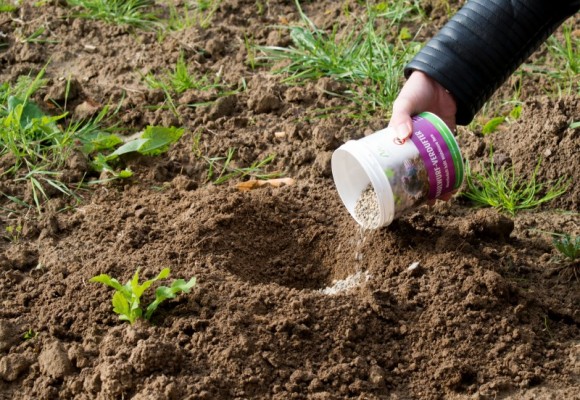 Cele mai bune solutii pentru a scapa de cartite 