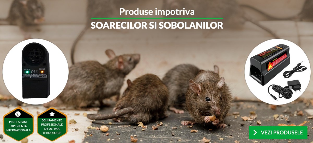 Produse impotriva soarecilor si sobolanilor